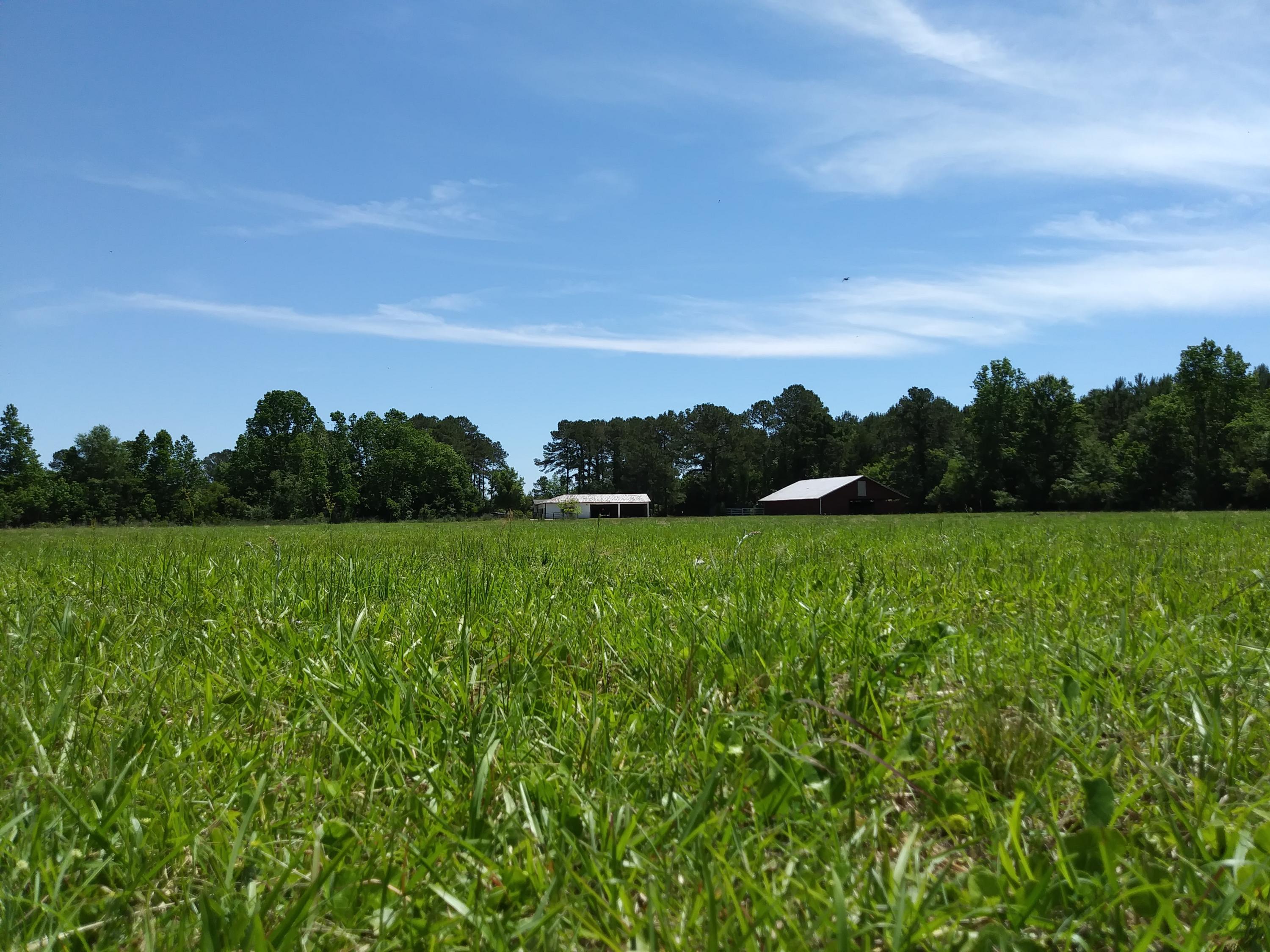 4721 Parishville Road Meggett, SC 29449 - Photo 31 of 35 Grass Field