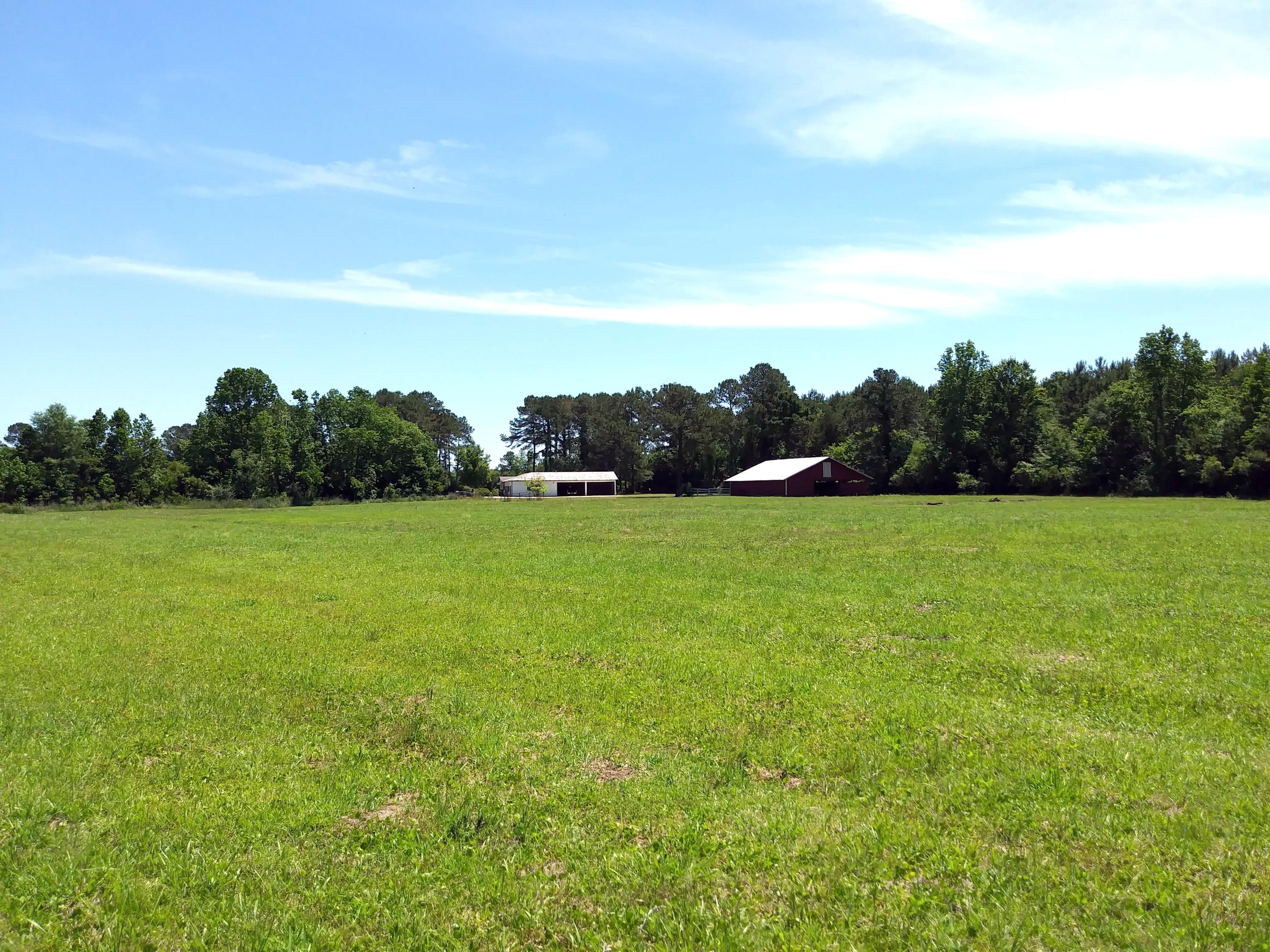 4721 Parishville Road Meggett, SC 29449 - Photo 32 of 35 Parishville Field