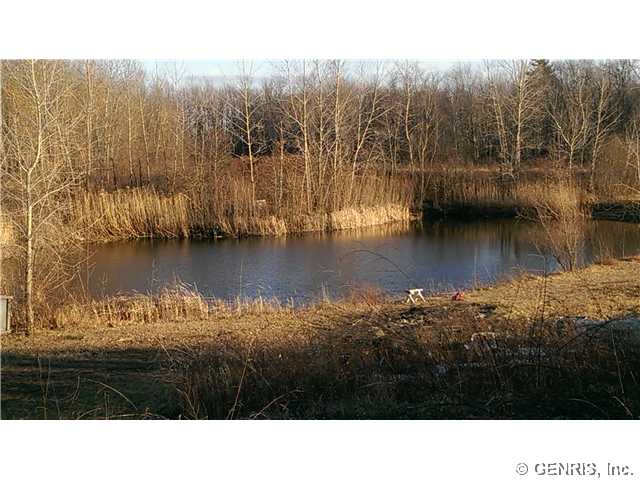 Vl Vl Road Holley, NY 14470 - Photo 1 of 1 Waterfront/Dock/Pier
