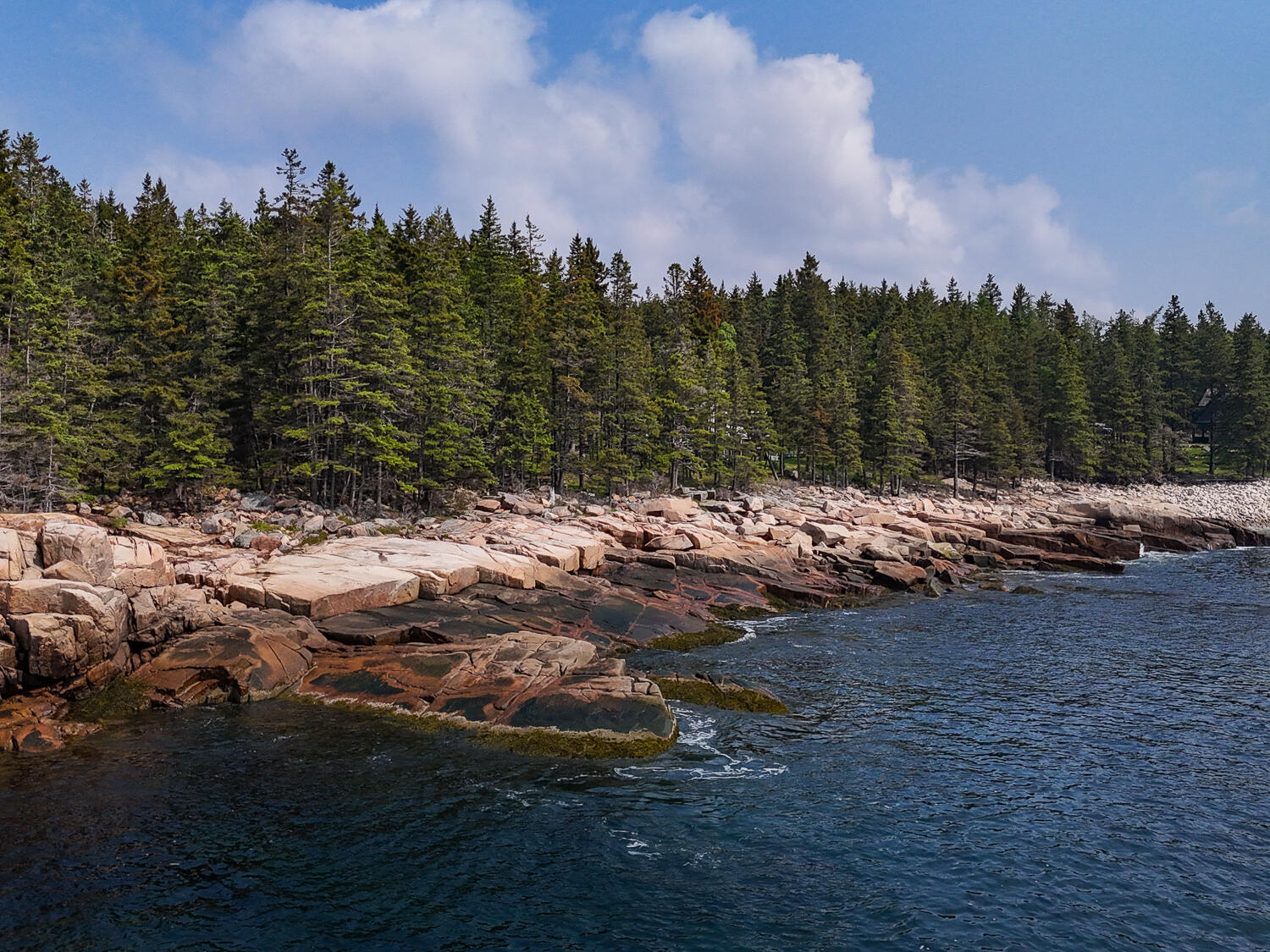 310 Red Point Road Swans Island, ME 04685 - Photo 48 of 50 Coastline