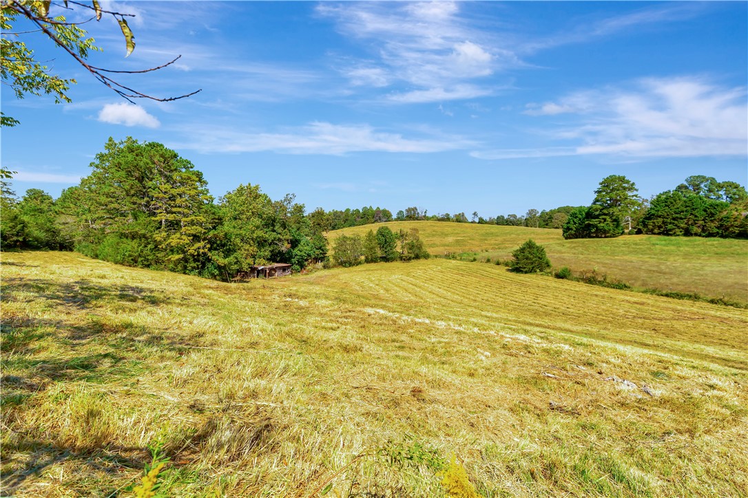291 Phillip Lear Road Westminster, SC 29693 - Photo 7 of 35 Gallery Image 7