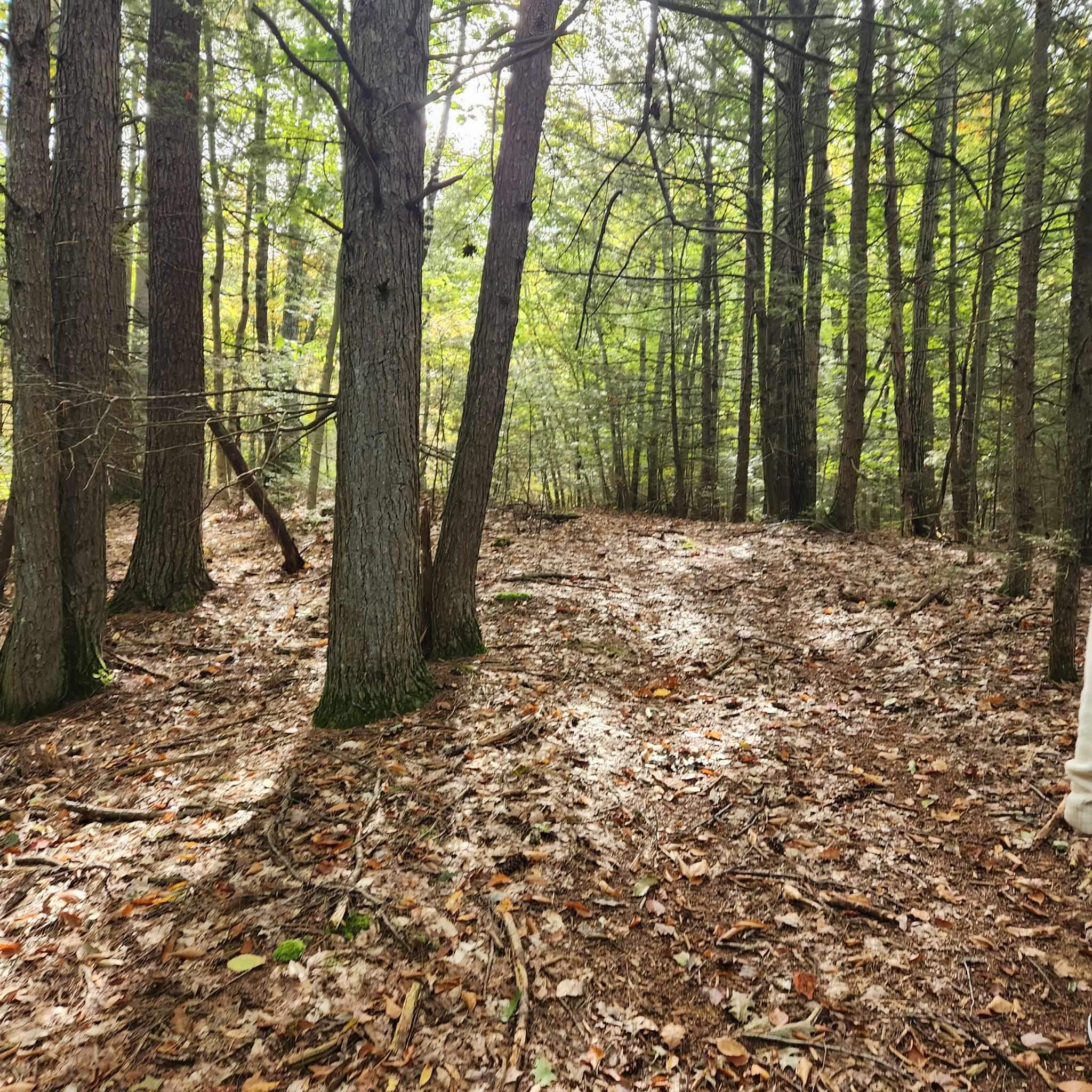 M20-l45 Green Road Raymond, NH 03077 - Photo 12 of 28