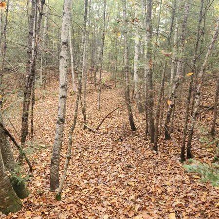 $275,000 | M20-l45 Green Road, Raymond, NH 03077