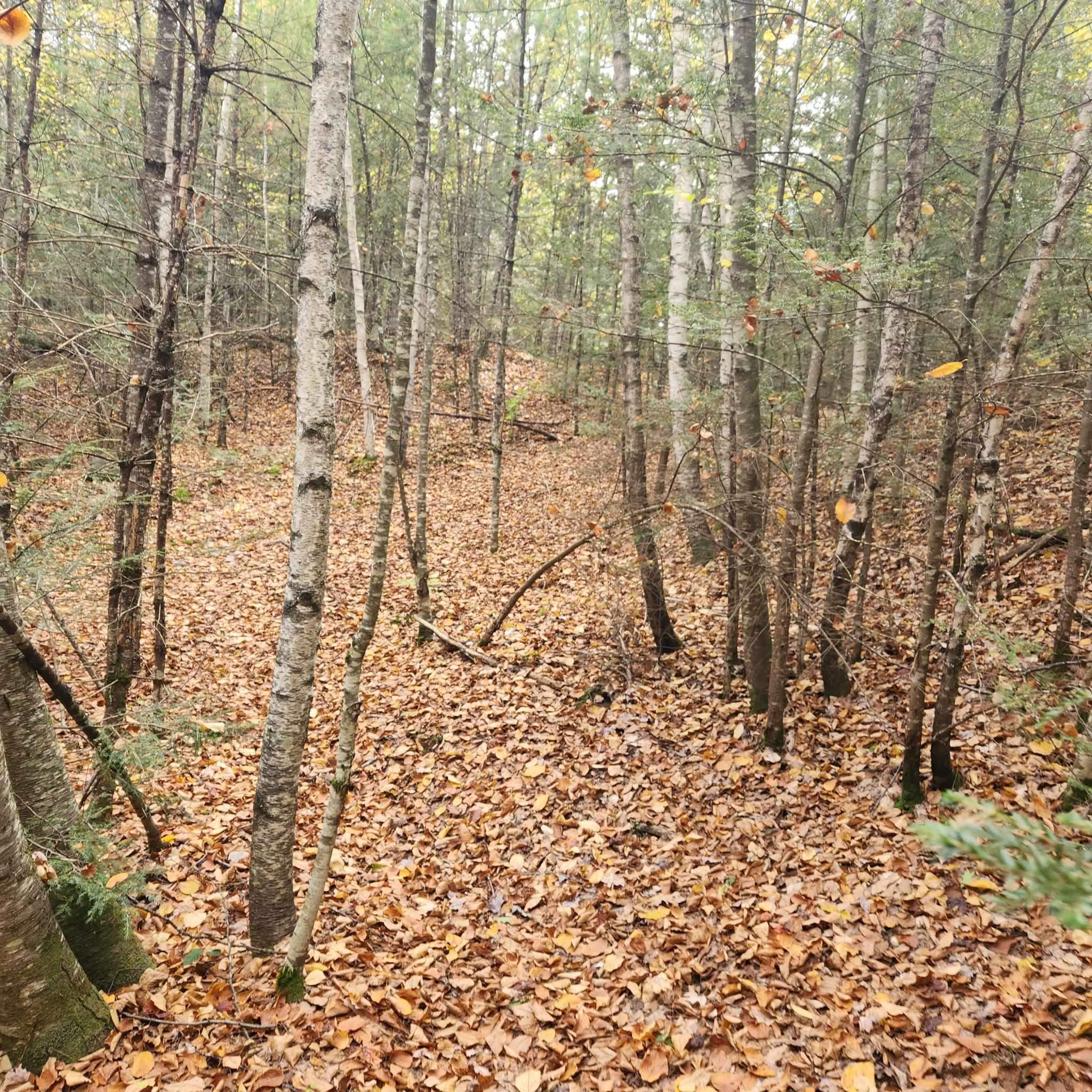 M20-l45 Green Road Raymond, NH 03077 - Photo 13 of 28