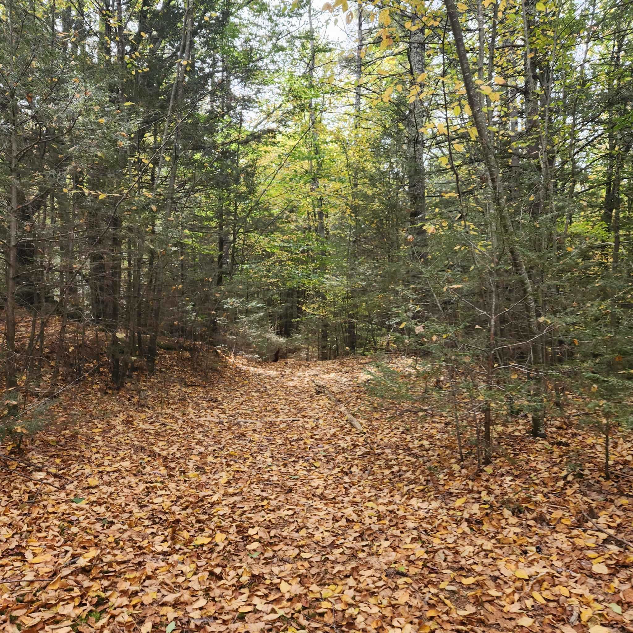 M20-l45 Green Road Raymond, NH 03077 - Photo 14 of 28