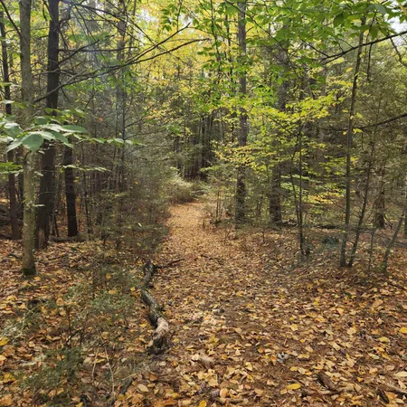 $275,000 | M20-l45 Green Road, Raymond, NH 03077
