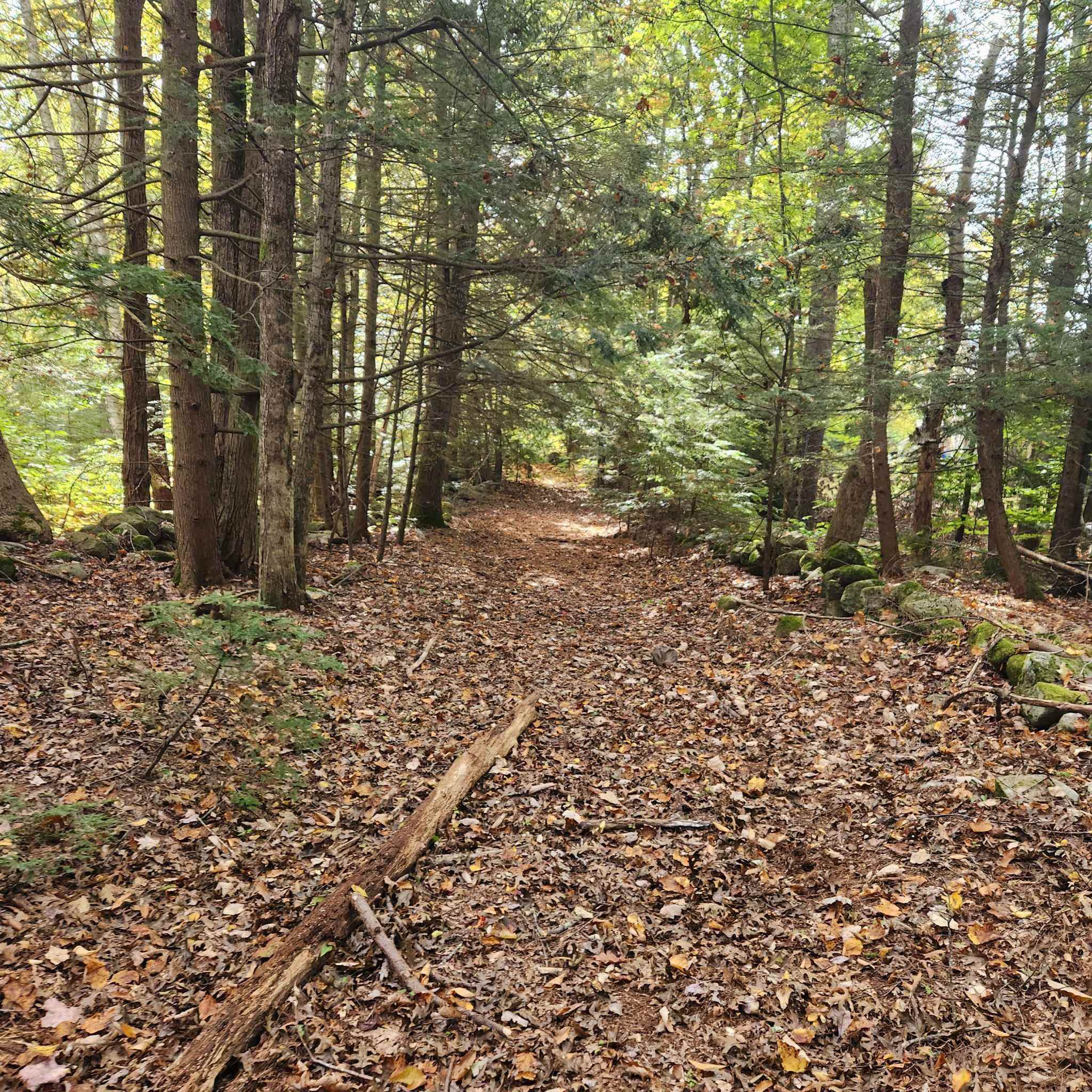 M20-l45 Green Road Raymond, NH 03077 - Photo 16 of 28