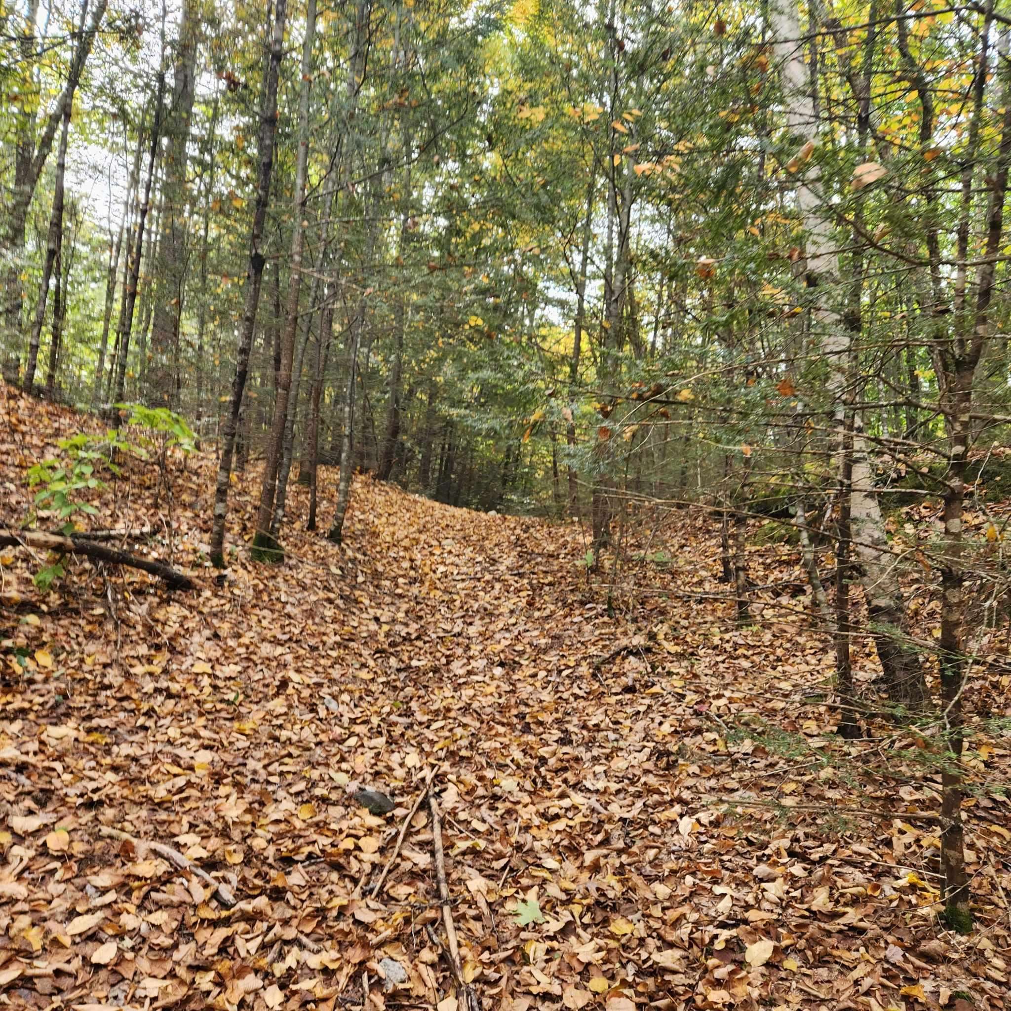 M20-l45 Green Road Raymond, NH 03077 - Photo 17 of 28