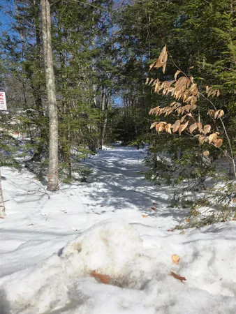 $275,000 | M20-l45 Green Road, Raymond, NH 03077
