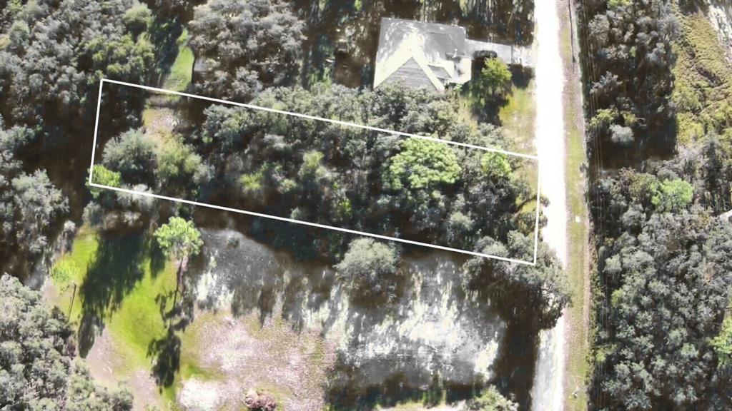 34429 Manuel Street Webster, FL 33597 - Photo 1 of 7 a view of a tree