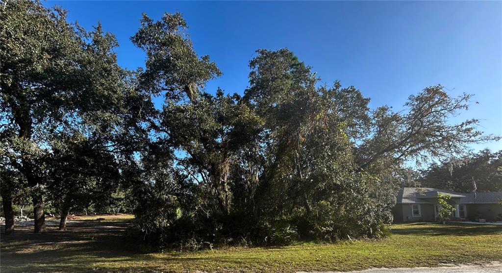 34429 Manuel Street Webster, FL 33597 - Photo 2 of 7 a view of a yard