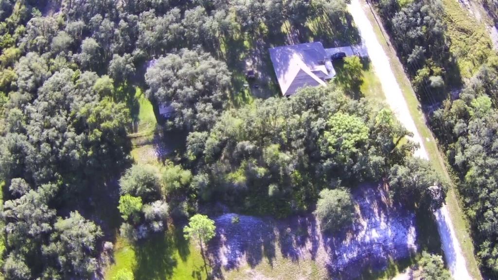 34429 Manuel Street Webster, FL 33597 - Photo 6 of 7