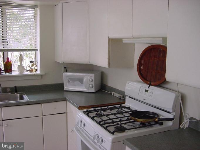 204 Wayne Avenue Silver Spring, MD 20910 - Photo 4 of 9 Kitchen