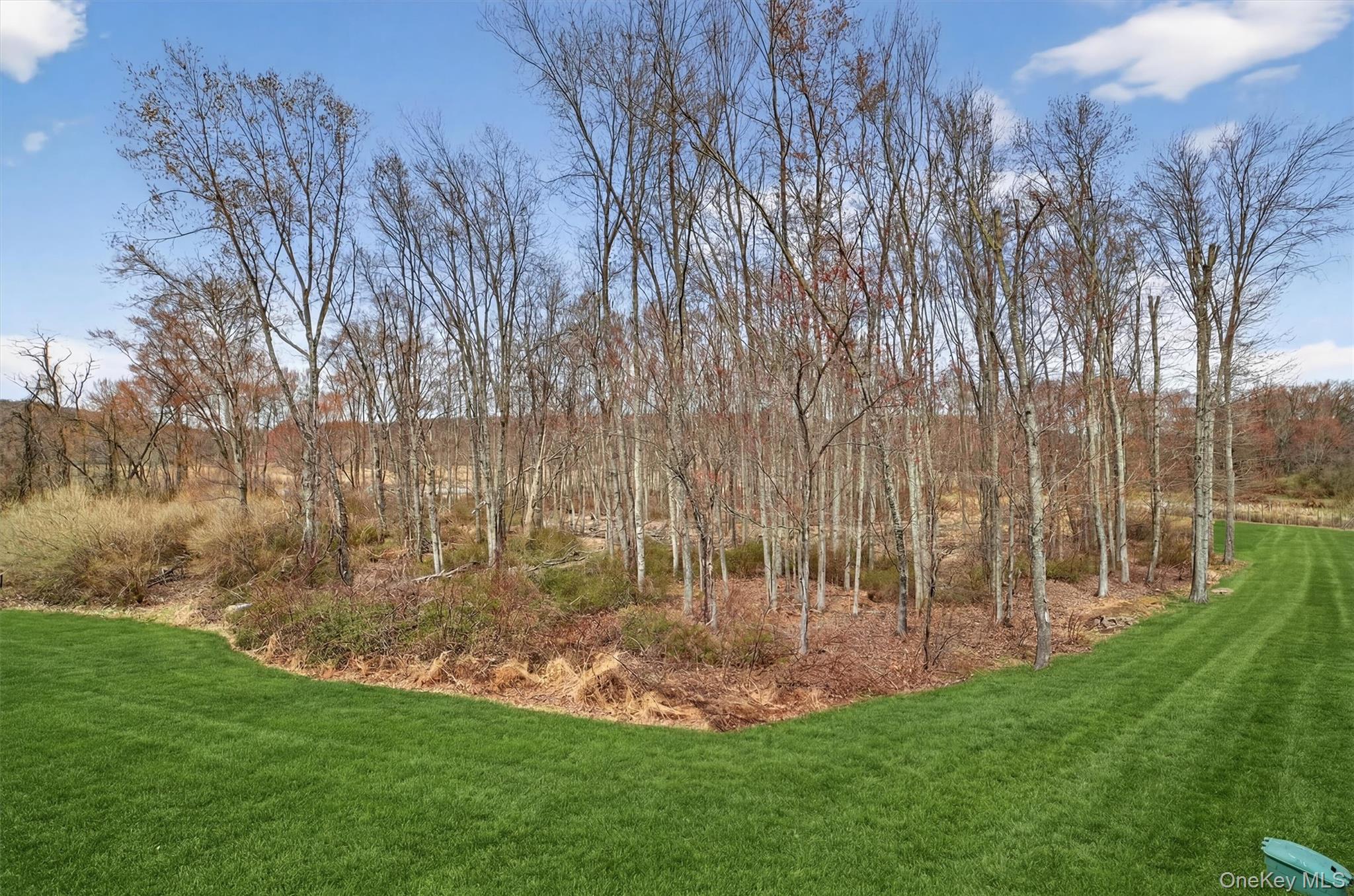 44 Spring Meadow Court Somers, NY 10589 - Photo 34 of 41