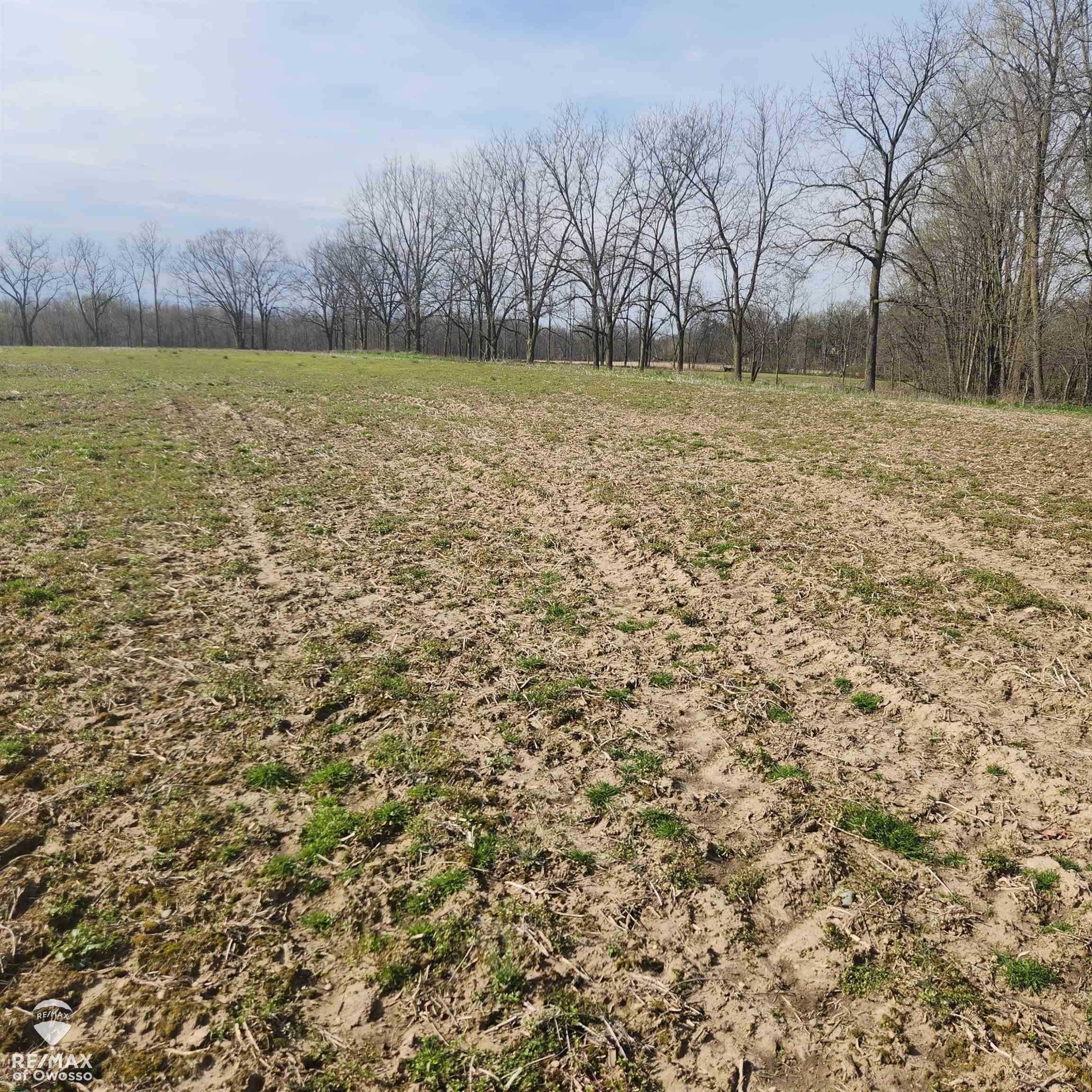 0 Rolston Road Gaines, MI 48436 - Photo 12 of 12