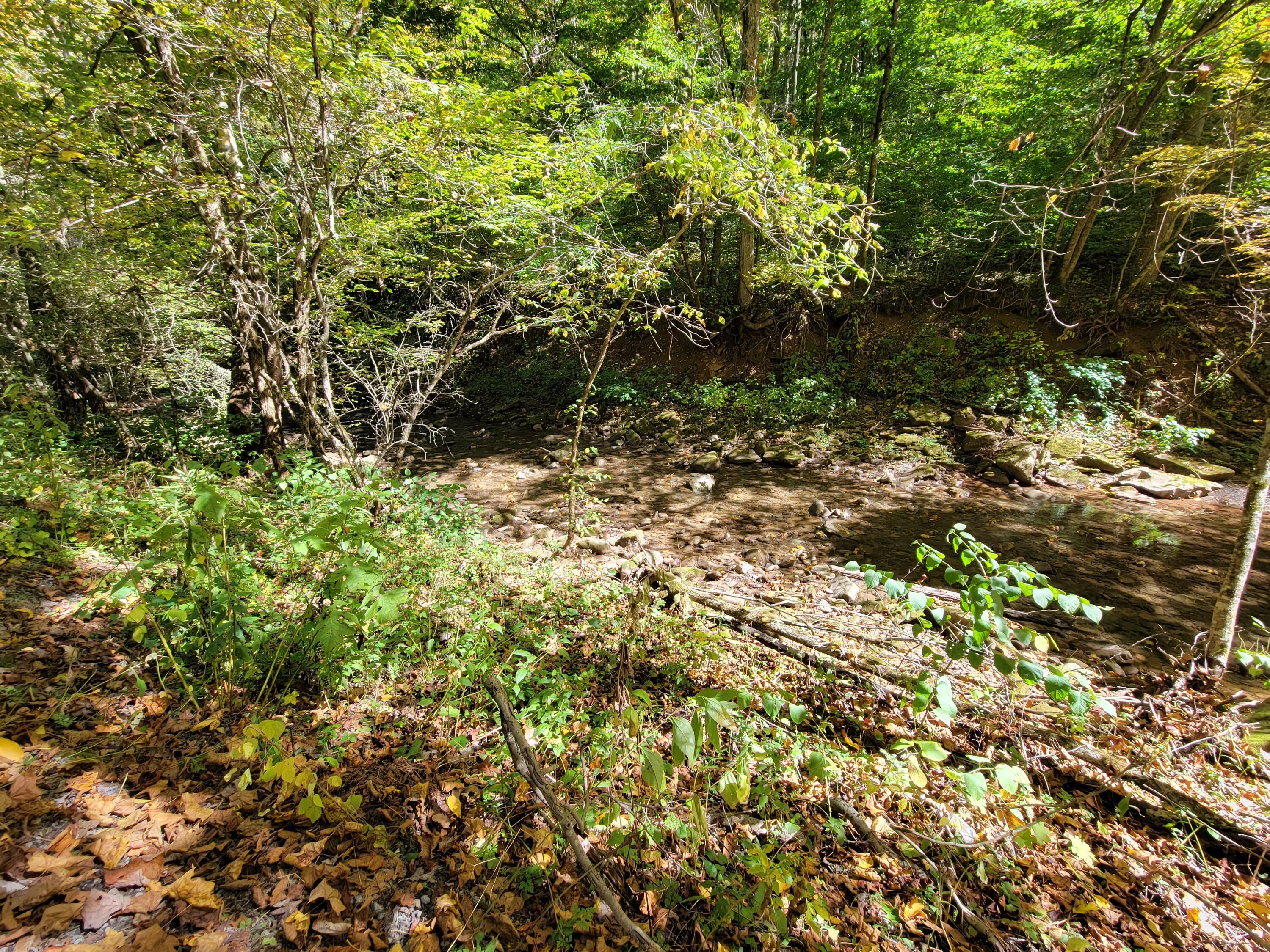 Robins Fork Road Renick, WV 24966 - Photo 16 of 34 Gallery Image 16