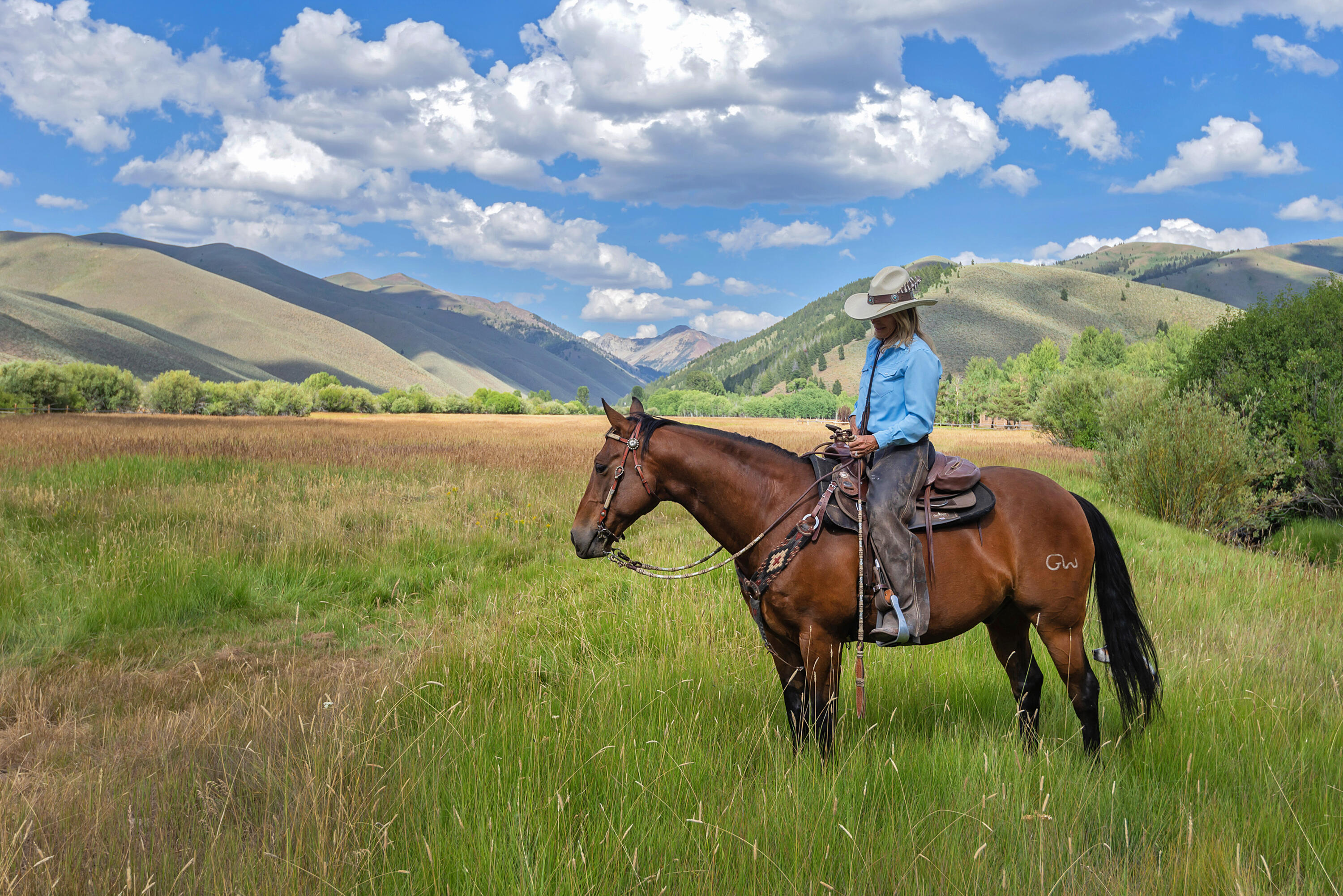 708 East Fork Road Hailey, ID 83333 - Photo 101 of 127 259 Acres