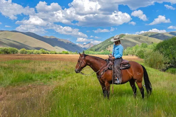 $25,000,000 | 708 East Fork Road, Hailey, ID 83333