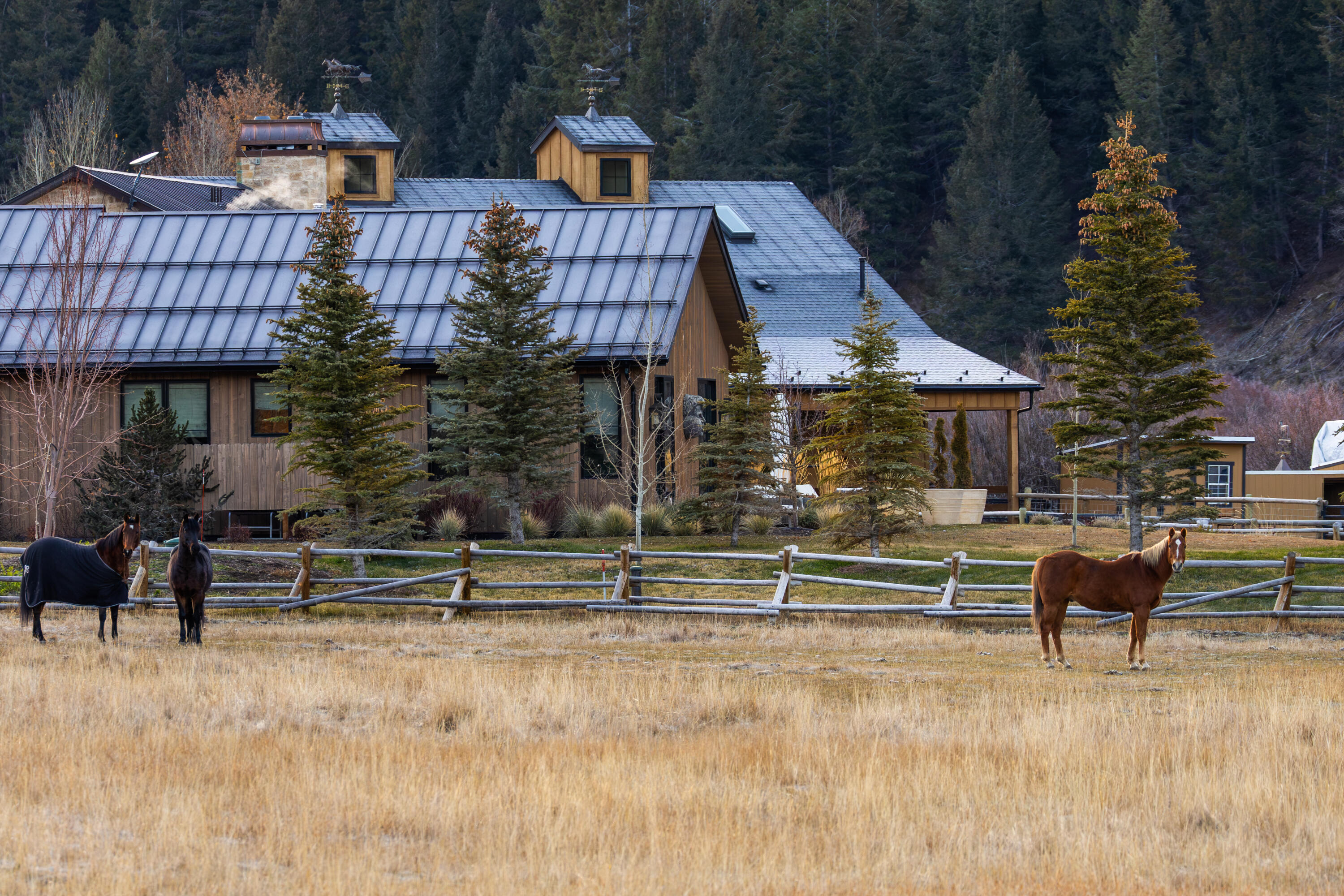 708 East Fork Road Hailey, ID 83333 - Photo 85 of 121 Fenced Pasture