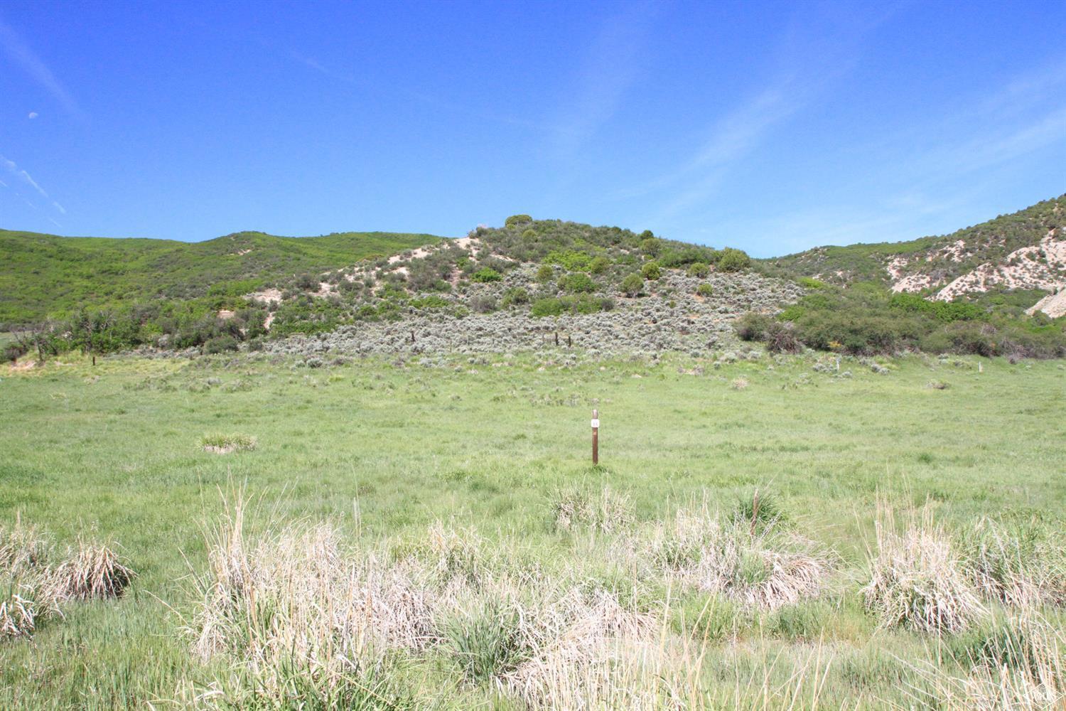 a view of a field with mountains in the background