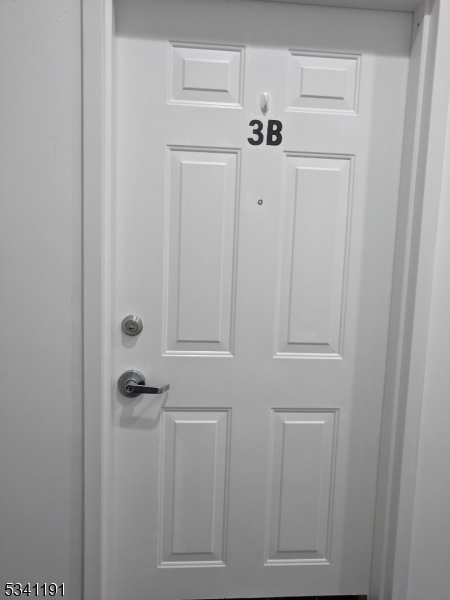 385 George Street, Unit 3B New Brunswick, NJ 08901 - Photo 7 of 18 a view of a closet