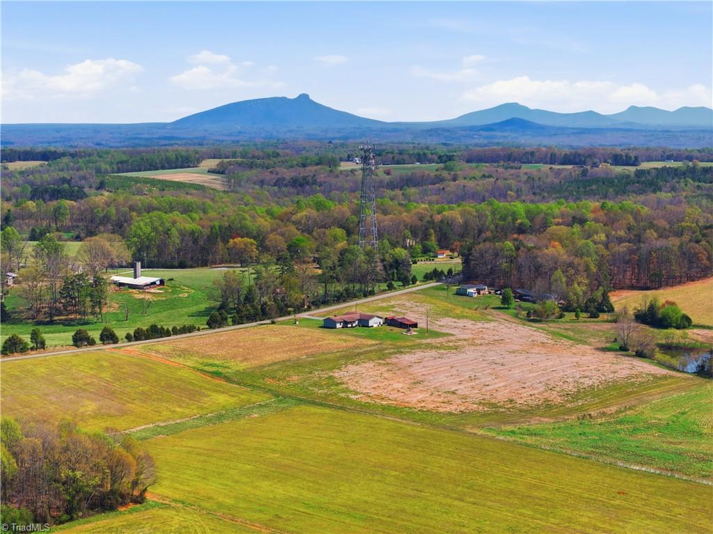 2452 Tower Road East Bend, NC 27018 - Photo 45 of 50