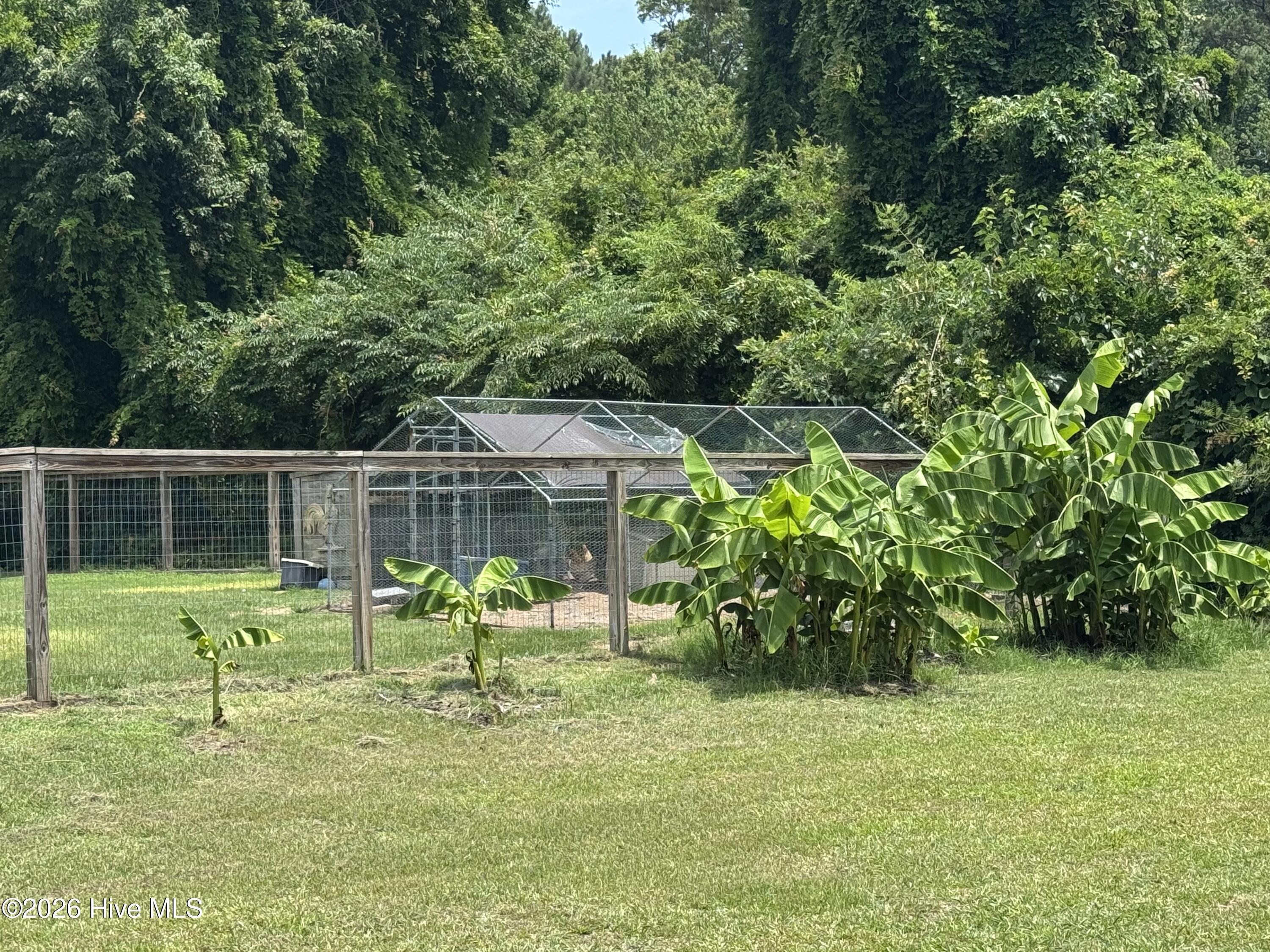 177 Ward's Road Knotts Island, NC 27950 - Photo 41 of 45