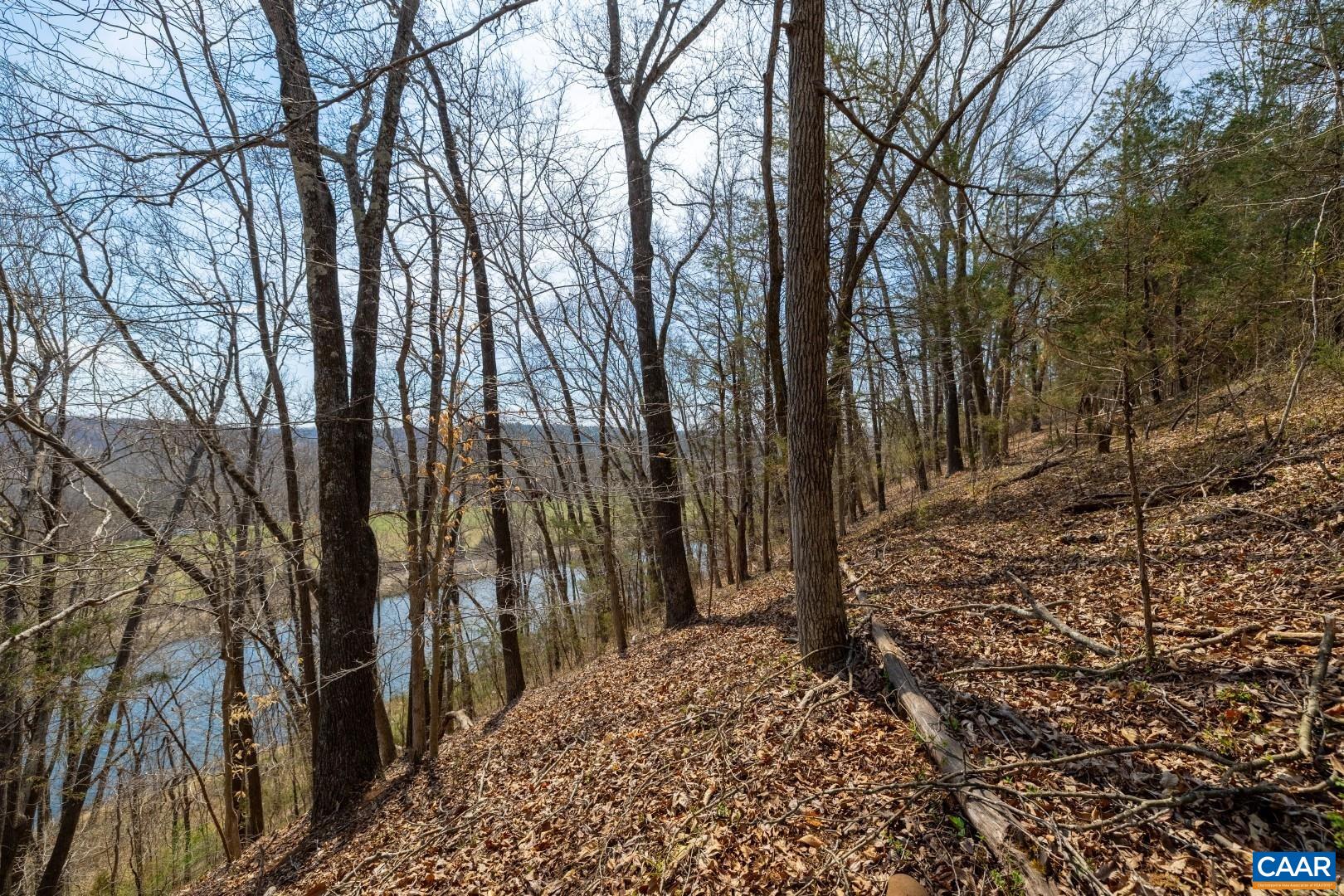 1280 Jones Overlook Howardsville, VA 24562 - Photo 5 of 38 a view of outdoor space with trees