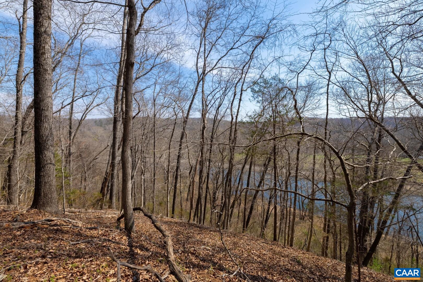 1280 Jones Overlook Howardsville, VA 24562 - Photo 6 of 38 a backyard of a house with lots of trees