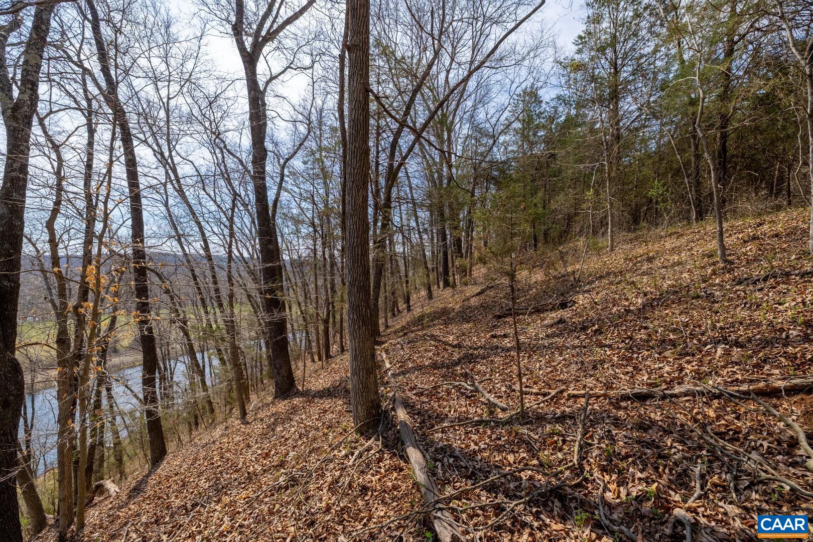 1280 Jones Overlook Howardsville, VA 24562 - Photo 8 of 38 a view of a forest that has large trees