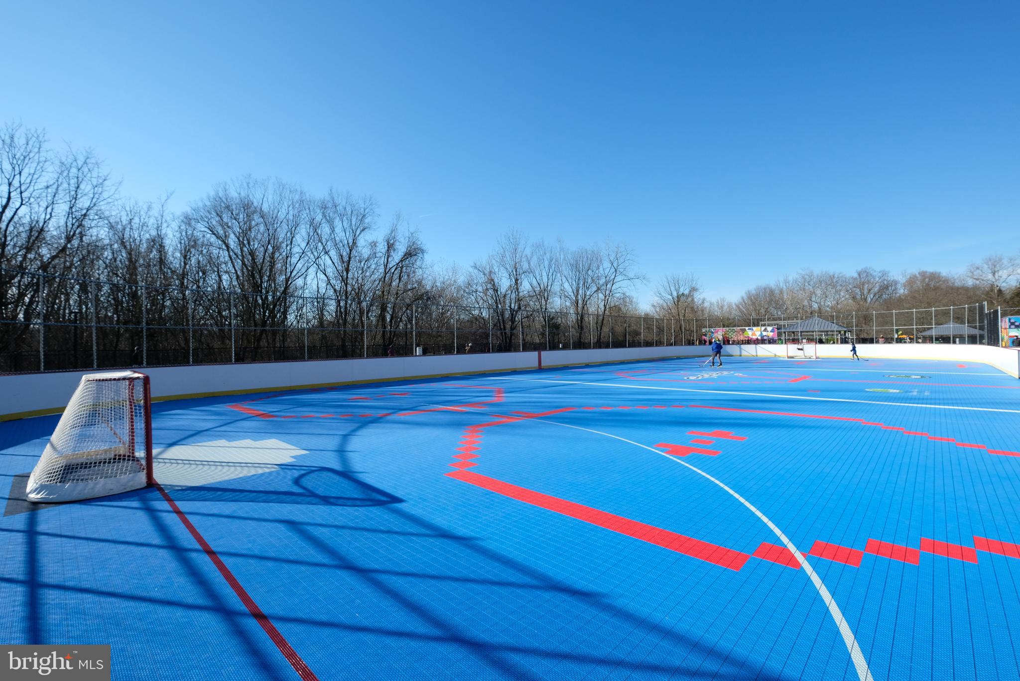 4408 Fernhill Road Silver Spring, MD 20906 - Photo 38 of 47 Dewey Park Sport Court with Hockey