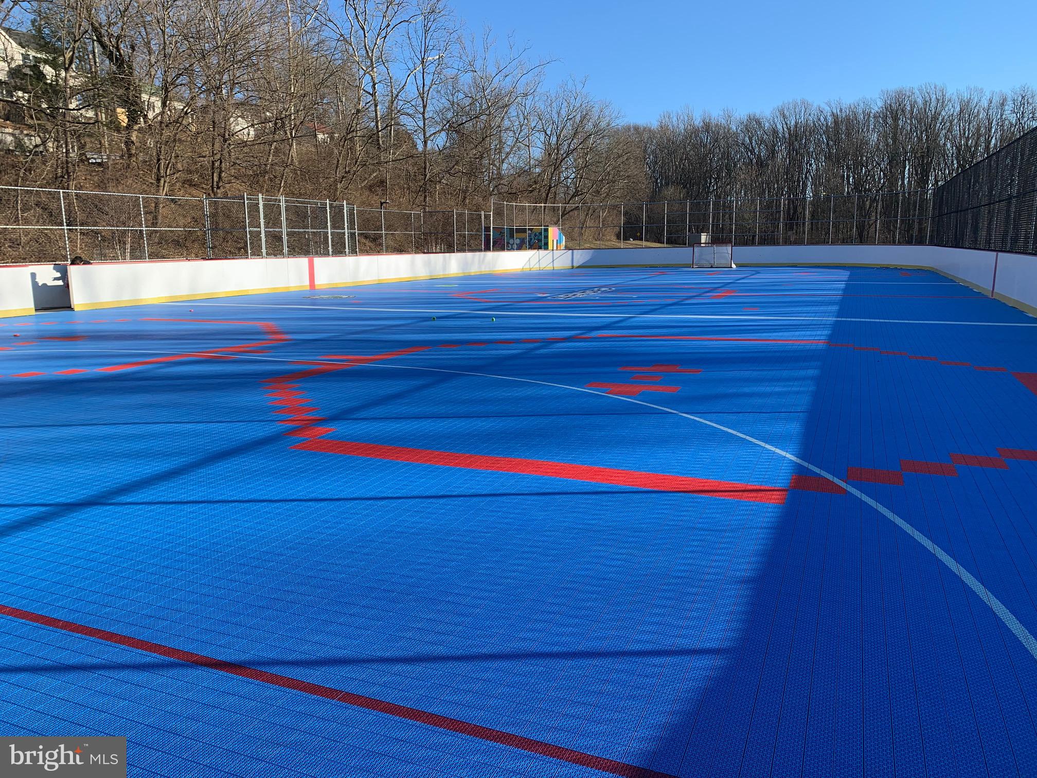 4408 Fernhill Road Silver Spring, MD 20906 - Photo 39 of 47 Hockey Court