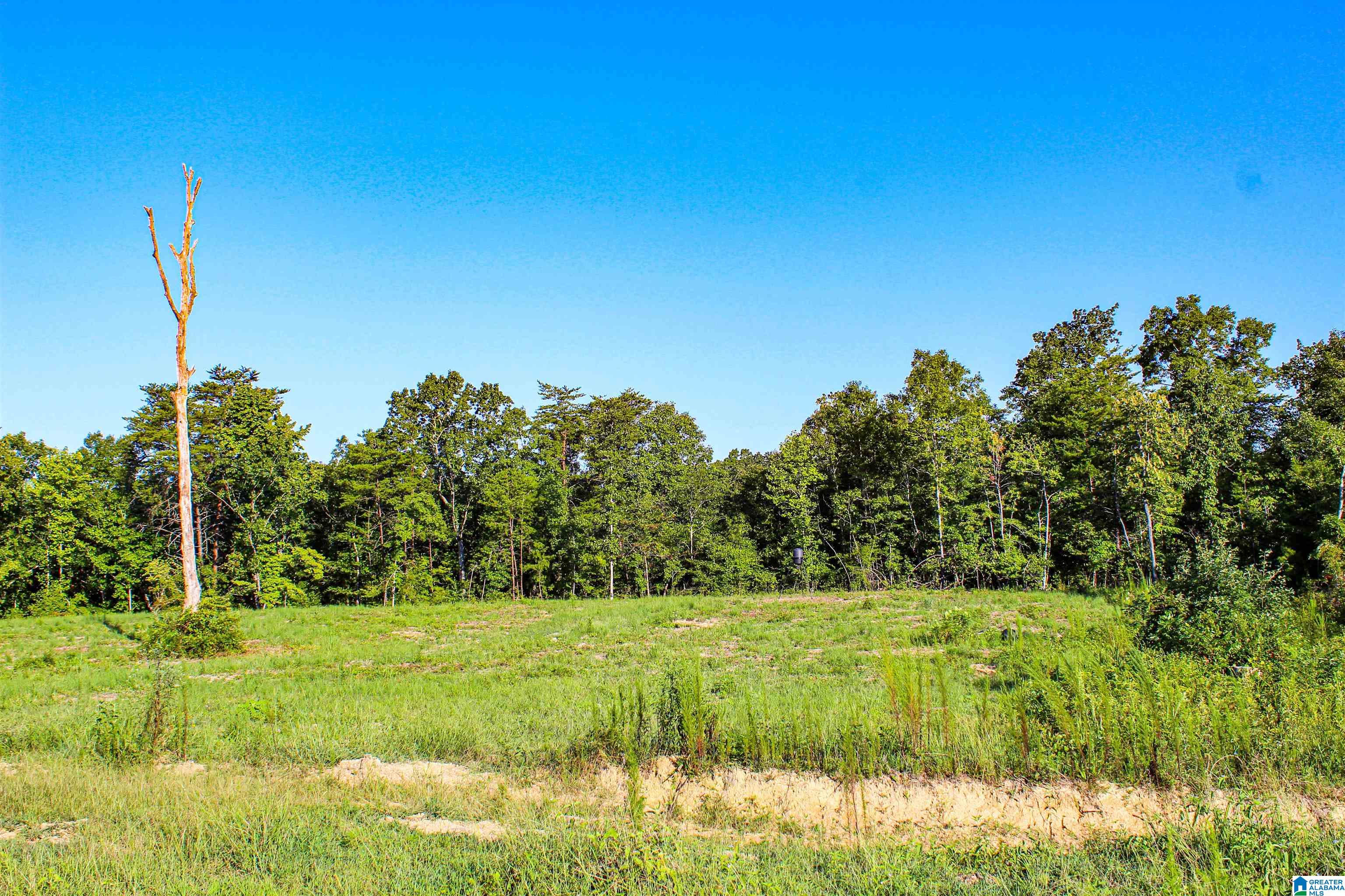 Bonner Drive, Unit 1 Berry, AL 35546 - Photo 46 of 56