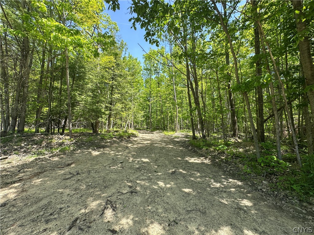 River Road Belmont, NY 14813 - Photo 15 of 23 Gallery Image 15