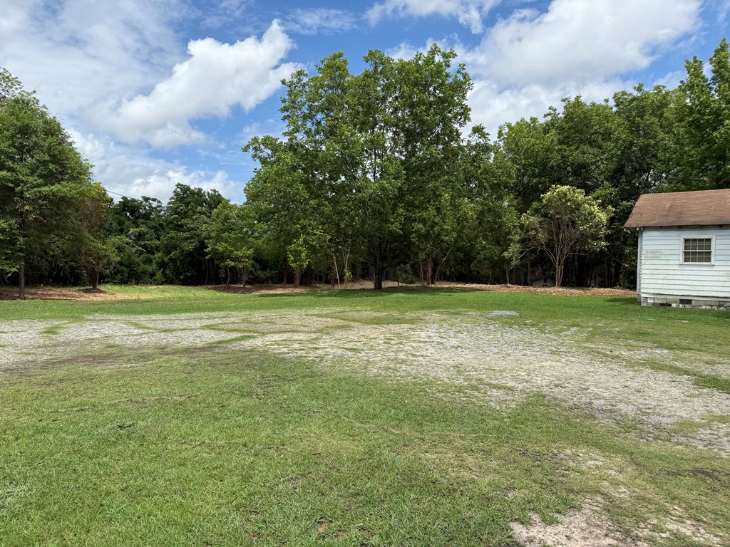 4935 Buena Vista Road Columbus, GA 31907 - Photo 2 of 24 a view of a green yard with a house
