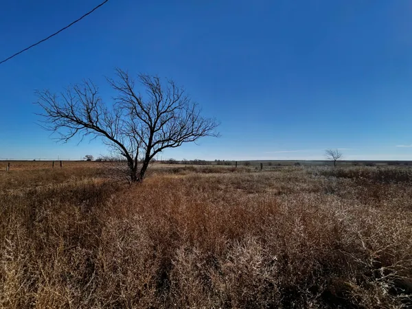 a view of yard with green space