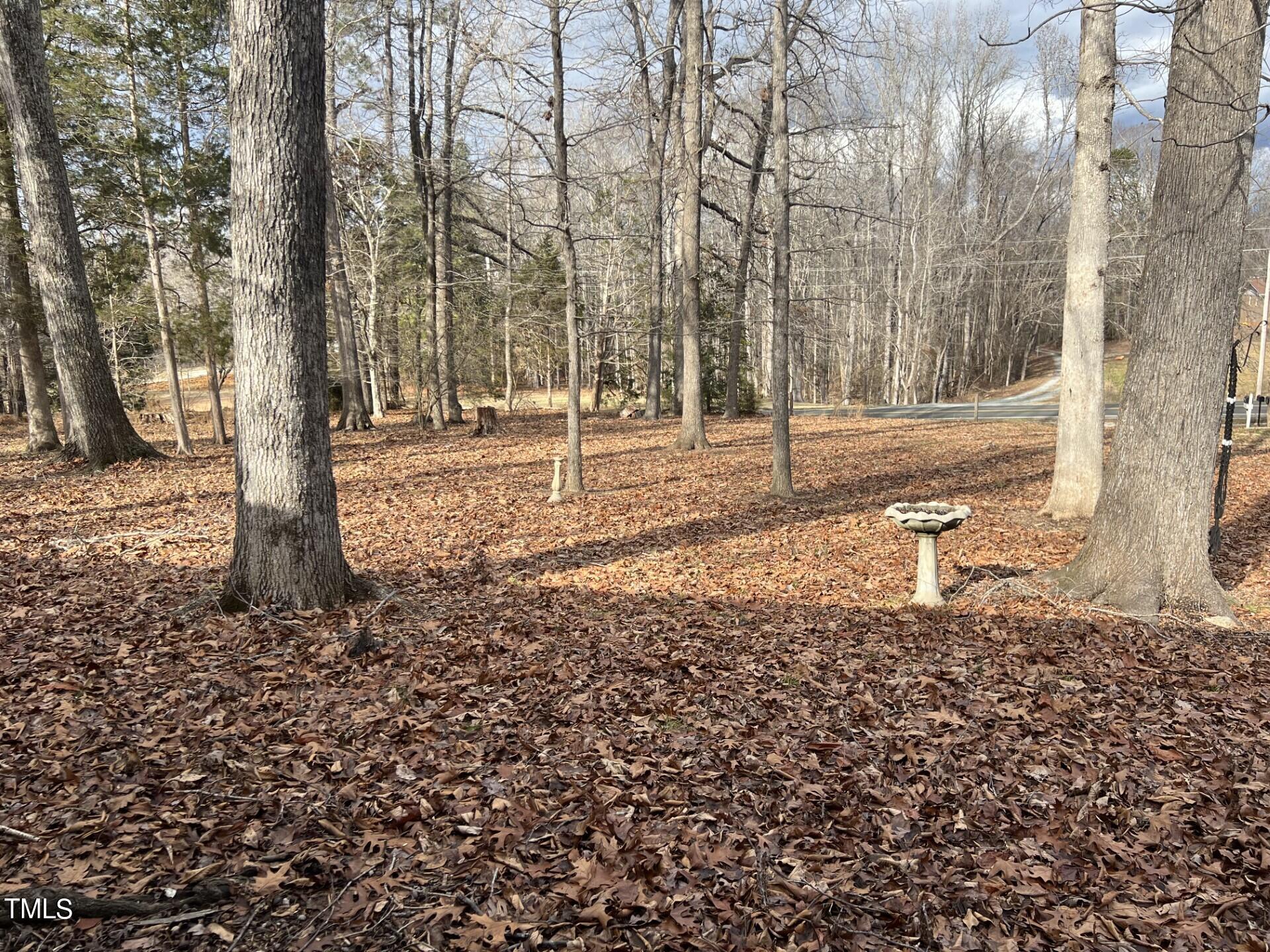 Front Yard