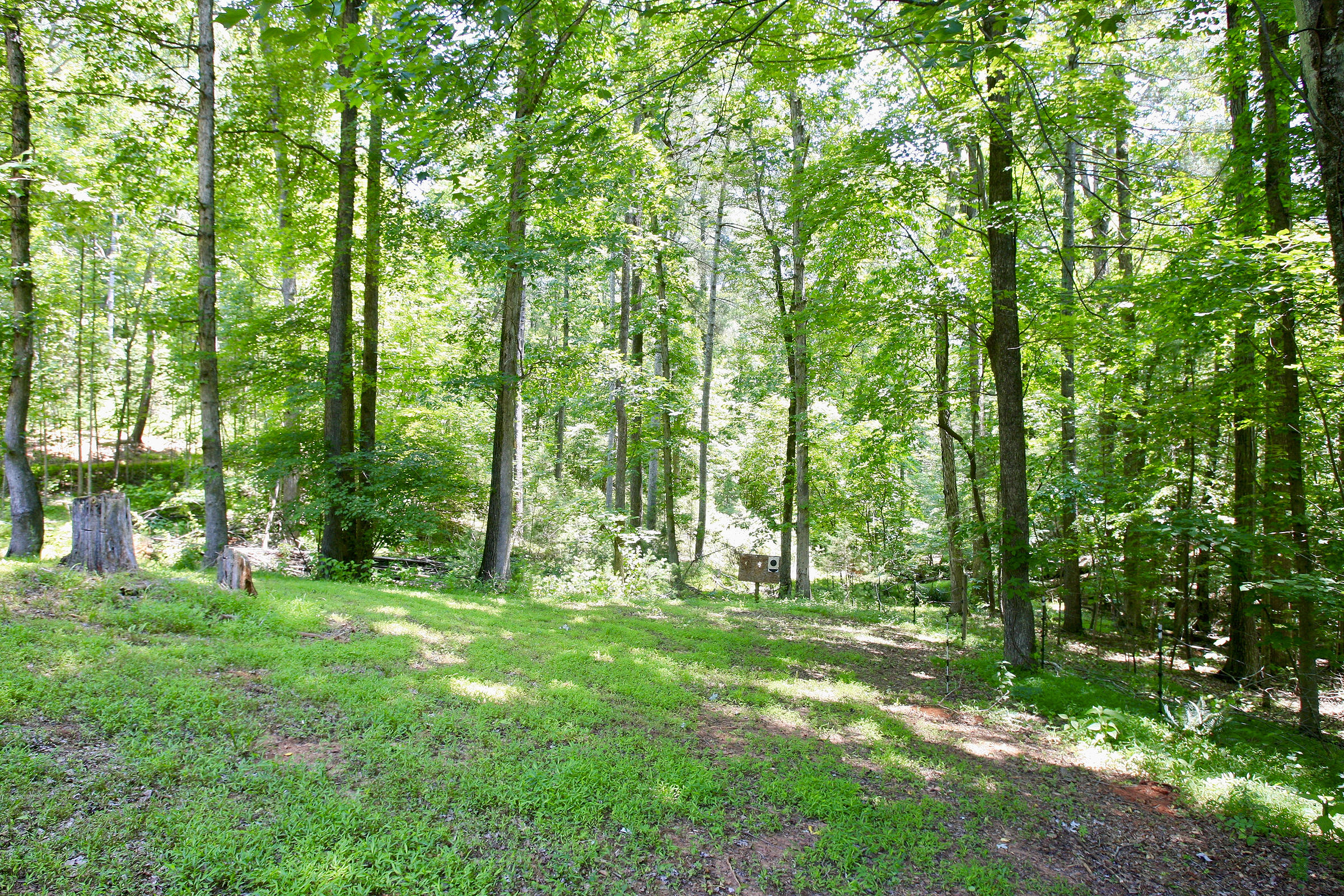 920 Adam Perry Road Rocky Mount, VA 24151 - Photo 44 of 53 _V4B6933