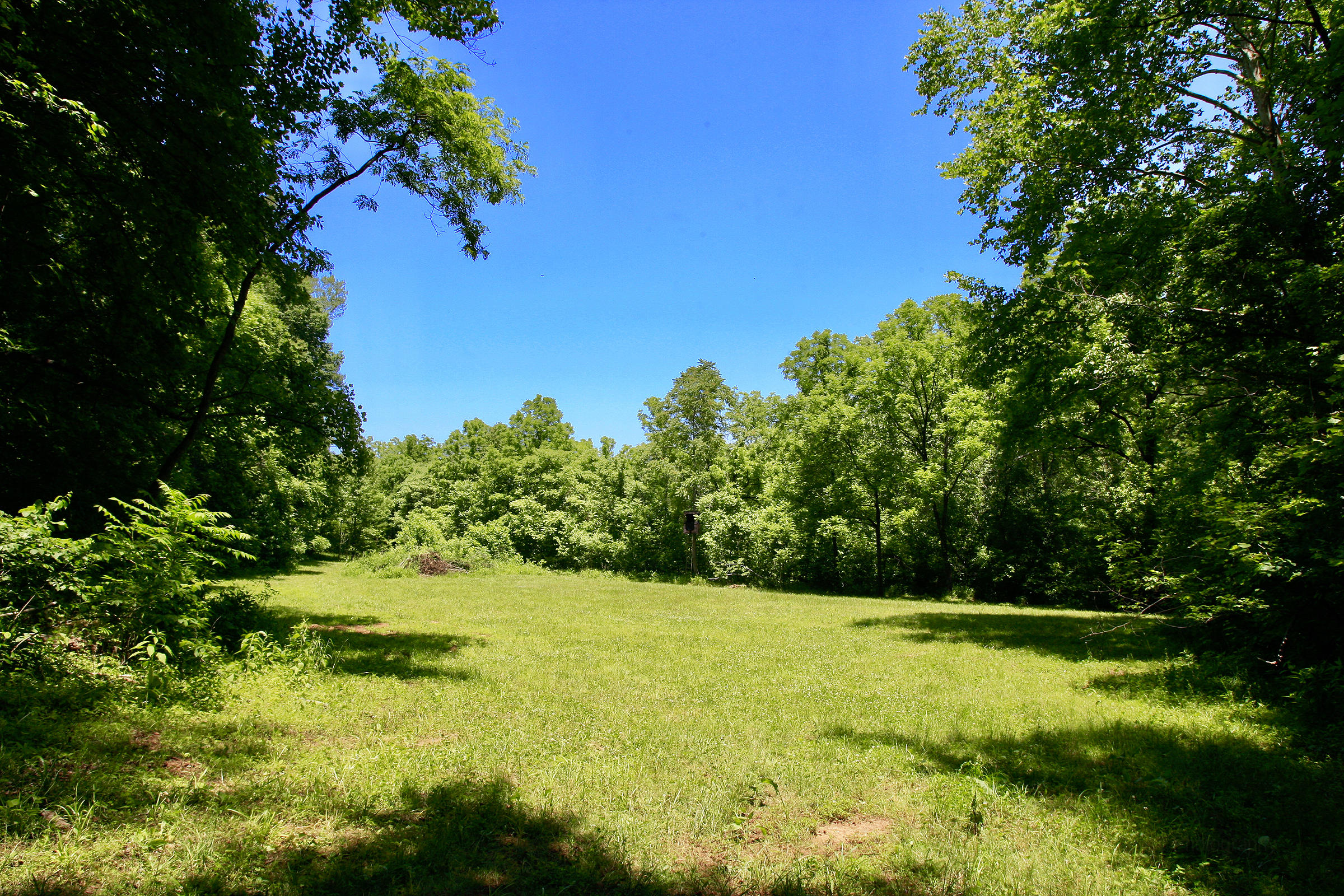 920 Adam Perry Road Rocky Mount, VA 24151 - Photo 45 of 53 _V4B6943