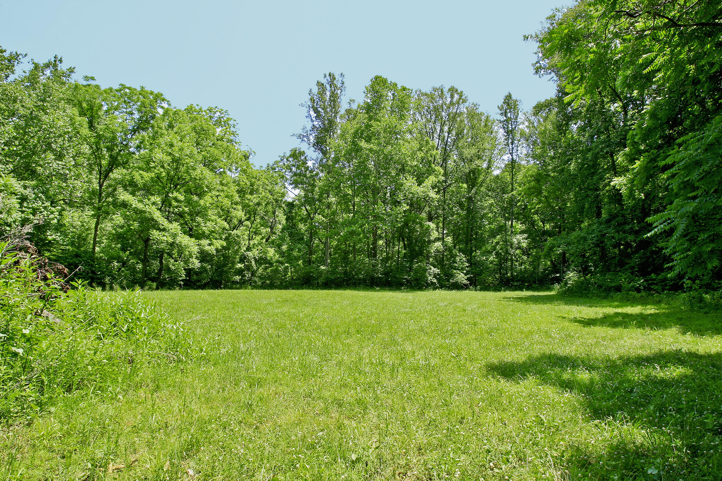 920 Adam Perry Road Rocky Mount, VA 24151 - Photo 46 of 53 _V4B6958