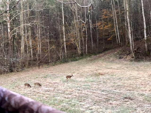 920 Adam Perry Road Rocky Mount, VA 24151 - Photo 53 of 53 IMG_3686