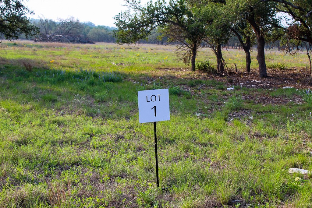 117 Apache Trace Northwest, Unit 1 Harper, TX 78631 - Photo 2 of 3