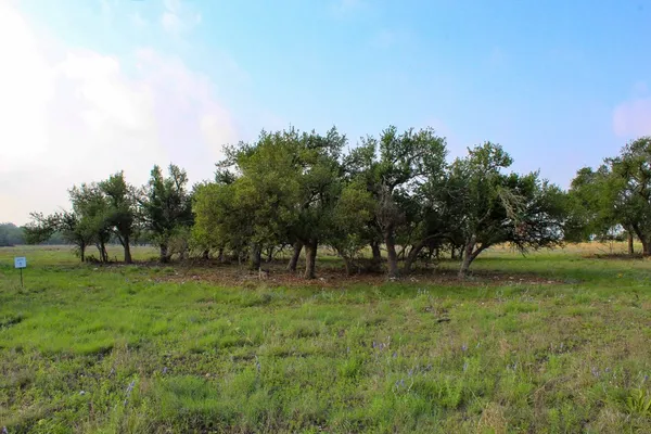 $169,000 | 117 Apache Trace Northwest, Unit 1, Harper, TX 78631