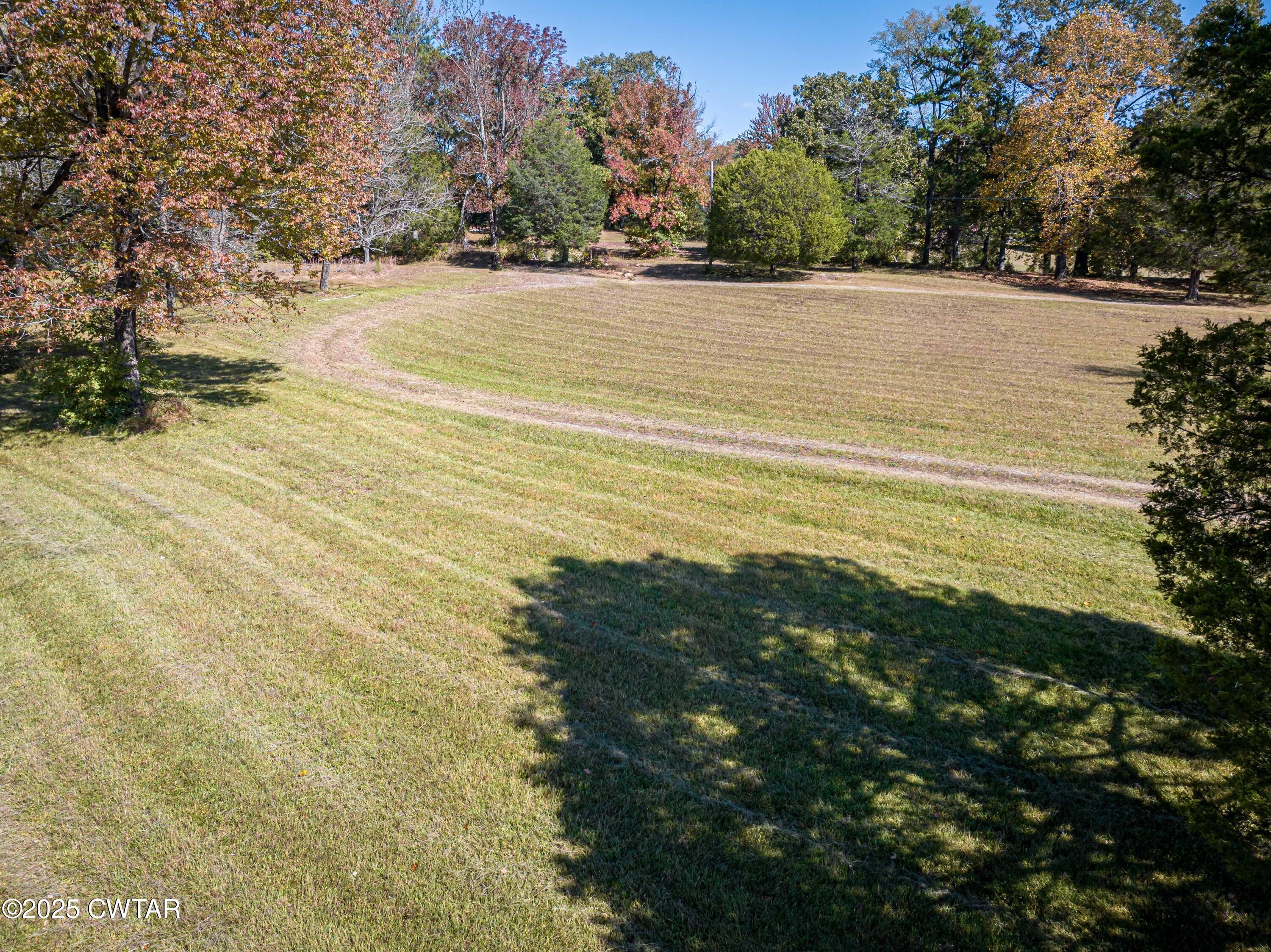 1084 West Main Street Parsons, TN 38363 - Photo 13 of 16 a view of yard with large trees