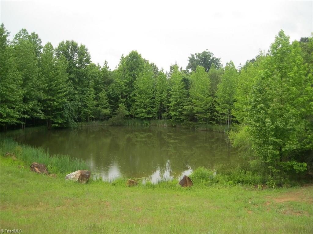 5288 Shady Hollow Road Staley, NC 27355 - Photo 18 of 19 Gallery Image 18