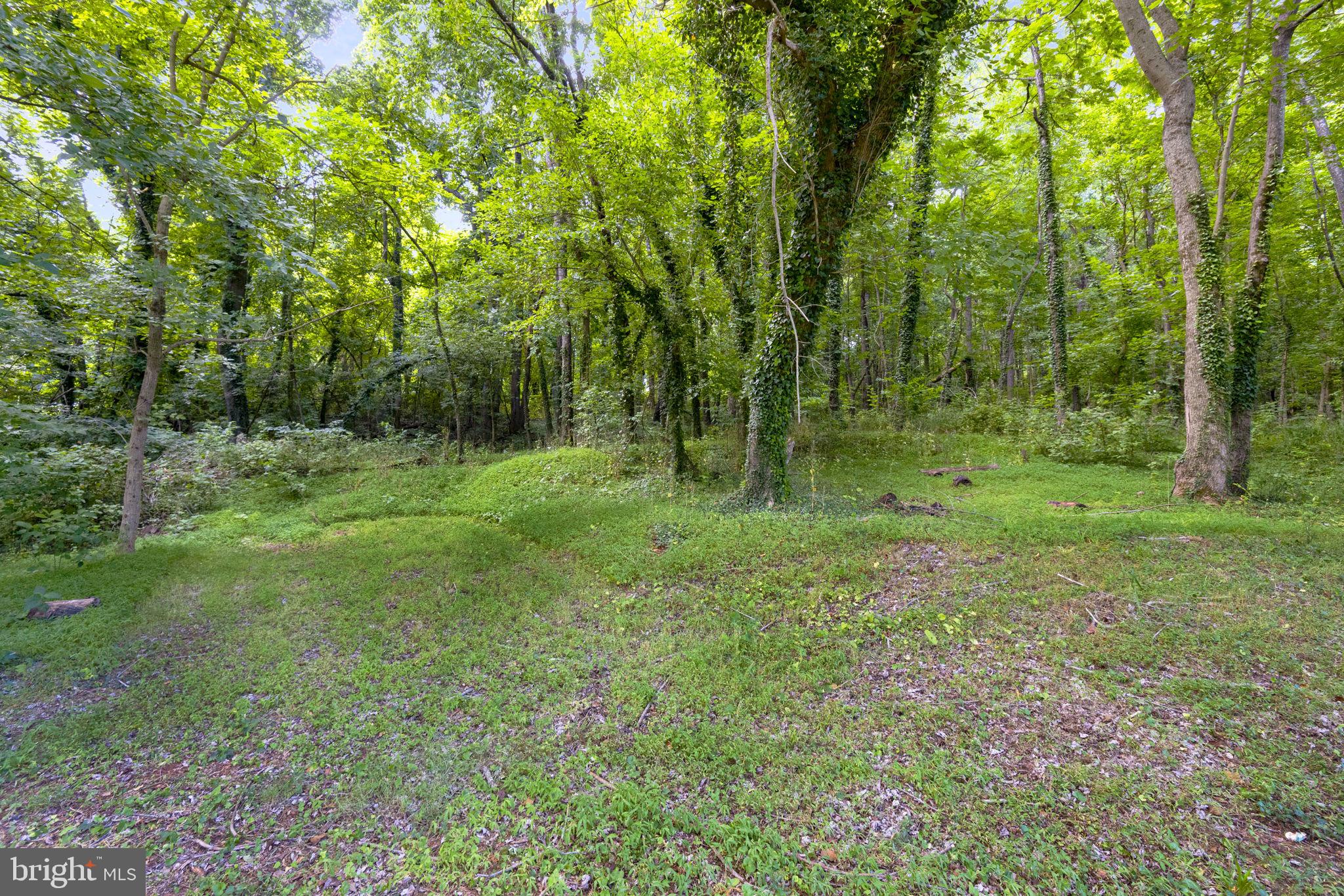 14380 Miller Road Orange, VA 22960 - Photo 31 of 65 Gallery Image 31