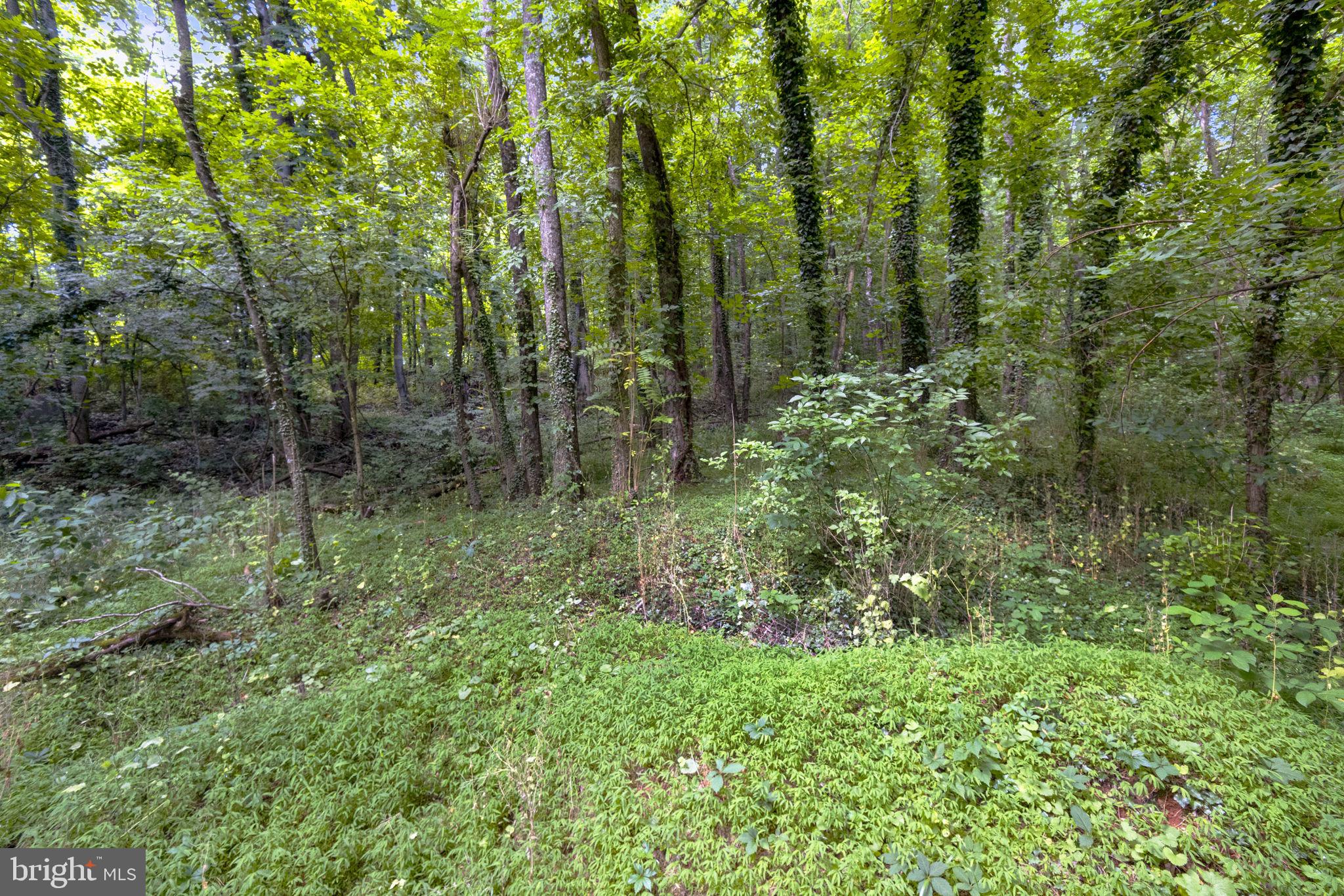 14380 Miller Road Orange, VA 22960 - Photo 32 of 65 Gallery Image 32