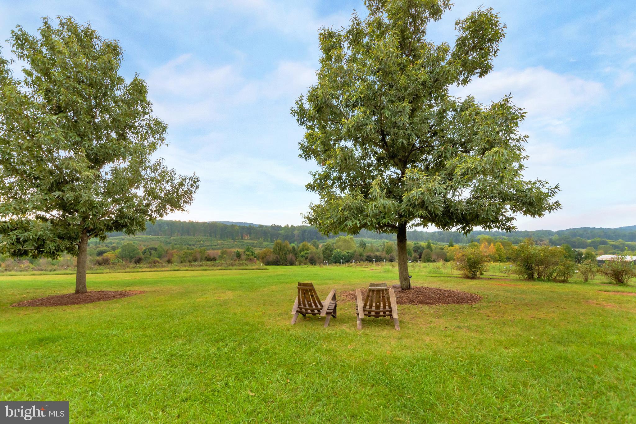 14380 Miller Road Orange, VA 22960 - Photo 46 of 65 Gallery Image 46