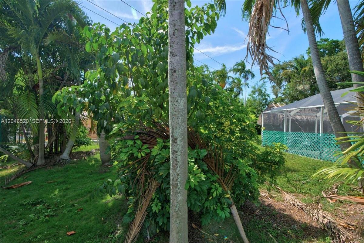 9841 Southwest 157th Terrace Miami, FL 33157 - Photo 53 of 54