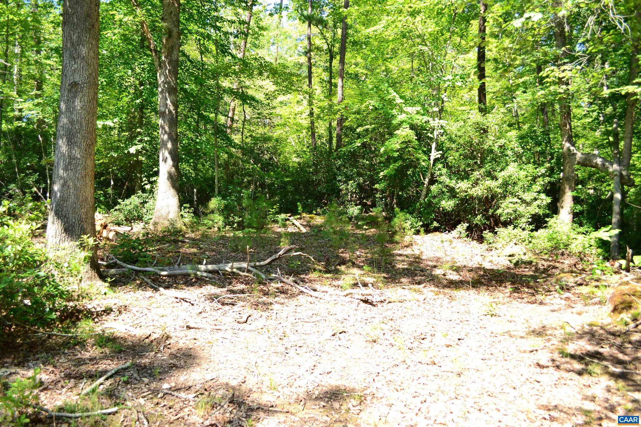 Tbd Damon Road, Unit 2 Schuyler, VA 22969 - Photo 5 of 14 Gallery Image 5